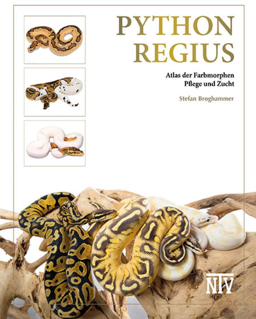 Python regius – Atlas der Farbmorphen
